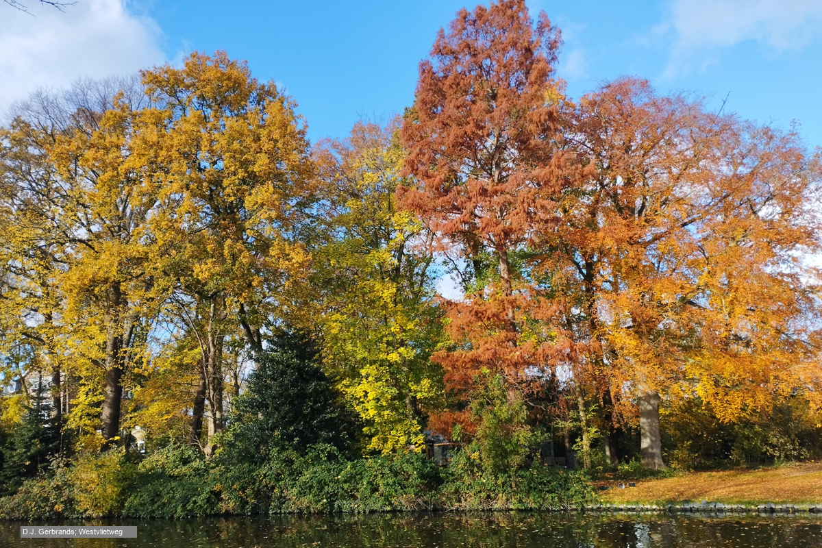 Bomen