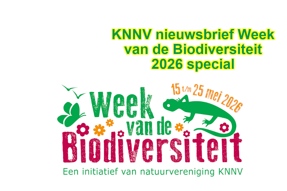 Landelijke Nieuwsbief KNNV Special Week van de Biodiversiteit 2026