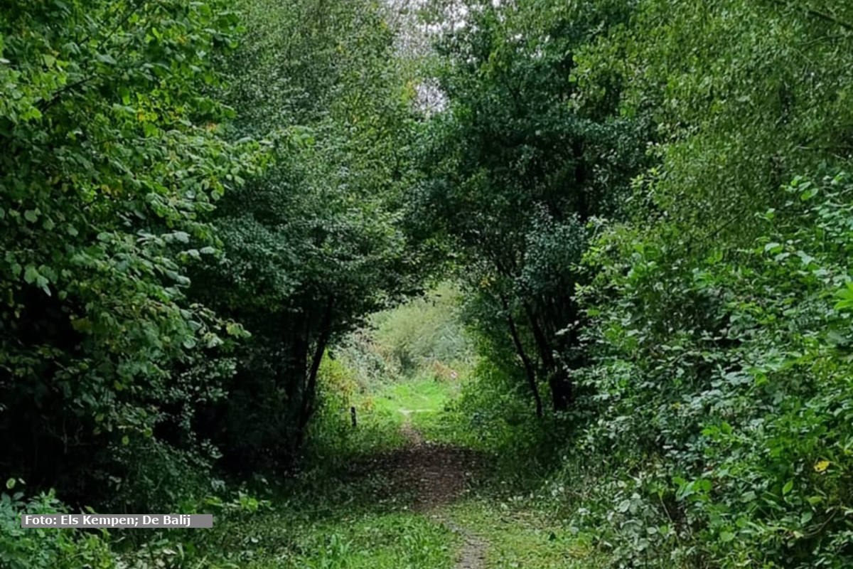 Dagexcursie De Balij, Zoetermeer